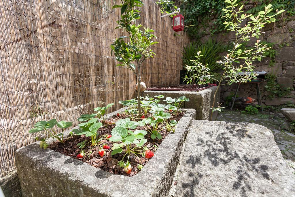 Bracara Hostel Braga Exterior photo